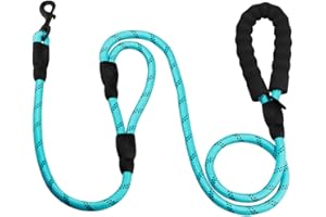 BAGUUARAY Guinzaglio per Cani, Nylon Guinzaglio con Comoda Impugnatura Durevole Robusto e Riflettente per Cani di Taglia Piccola, Media e Grande Walking, Addestramento (180cm Blu)
