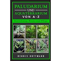 wie alt wird ein elefantenfuß Elefantenfuß main image 1