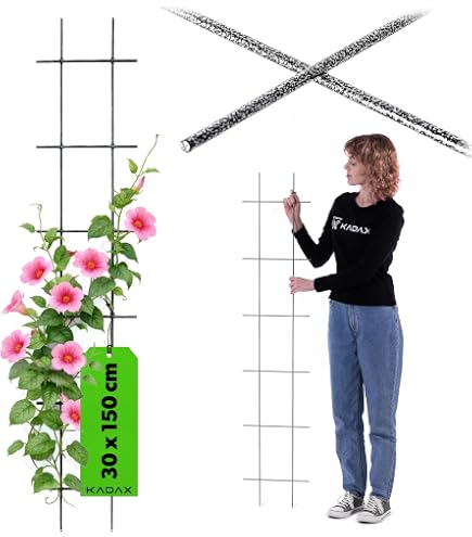 Arche De Jardin Demi-Arche Pour Plantes Grimpantes 150x40x240cm - Treillis Noir Solide