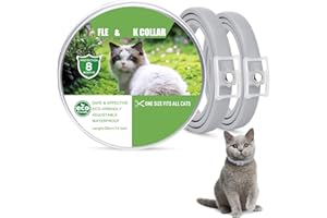WEALLIN 2 Pcs FXK Collar for Cats, Waterproof Cat Collar Suitable for Kittens Small Medium Large Cats, Adjustable Soft Cat Collars, Grey