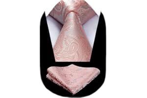 HISDERN Cravate Homme Paisley Cravates en Soie pour Hommes Mariage Cravatte et Pochette Set