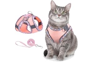 ORIA Katzengeschirr mit Leine Ausbruchsicher, Verstellbares Katzen Geschirr Harness mit Reflektierenden Streifen, Atmungsaktivem Mesh, für Katzen, Kitten, Hunde, Welpen (XXS) - Rosa