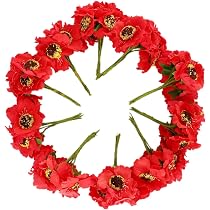 Fleurs Coquelicots Artificielles Haishell Lot De 60 - Rouge Et Noir Pour Commémoration Décoration