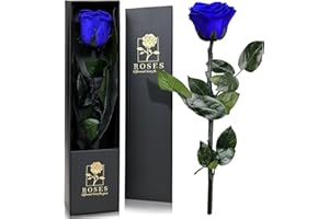 QHHENTOO Infinity Rose in Geschenkbox, Ewige Rose mit Stiel Geschenke für Frauen Echte Rosen Eine Konservierte Blume für Mama Damen Freundin zum Geburtstag Valentinstag Weihnachten Muttertag - Blau