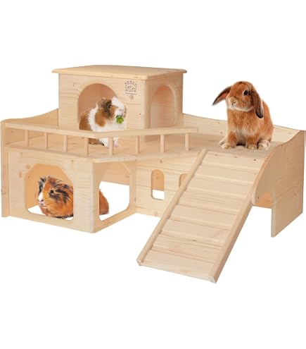 Casetta Per Porcellini D'India Extra Large Con Scale E Tappetini - Habitat In Legno Con Multiple Accessi