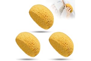 WYRGQIQN Juego de 3 esponjas de pasta de textura extraíble para pintura acrílica, bricolaje de reparación de paredes de yeso, ideal para clases de arte y pintura sobre lienzo