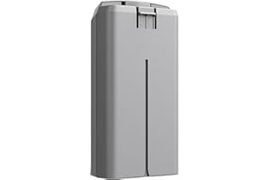 WYGUO BWX161 Batería de Repuesto de Vuelo Inteligente para dji Mini 2/ SE/ 4K/ 2 SE Intelligent Flight Series(7.7V 17.32Wh)