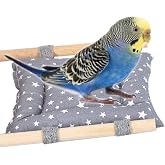 Kuş Yatağı En S&uuml;nger Dolgulu, 2 Ahşap T&uuml;nekli Dinlenme Alanı 11 Cm Boy 11 Cm