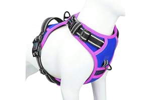 PHOEPET Verbessertes Hundegeschirr ohne Zug, reflektierende, verstellbare Weste, mit Trainingsgriff + 2 Metallleinenhaken + 3 Schnappschnallen + 4 Schiebeschnallen (S, Königsblau)