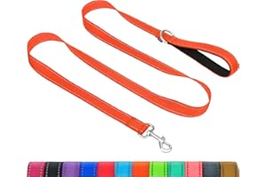 Taglory Guinzaglio per Cani Riflettente con Manico Imbottito e Gancio in Metallo, Nylon Resistente Addestramento Cane Guinzaglio, 1.2 m x 2.0 cm, Arancione
