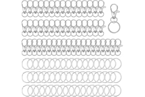 NOKDAL 100 Piezas Anillas para Llaveros Acero Inoxidable Enganche Llavero Metal Mosqueton Llavero giratorio Cierres de Langosta para Llaveros Manualidades para Hacer Llaveros (50 Mosquetone y 50 llaveros)