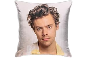 Heqiafan Harry Classic Style1 Home Throw Pillow Covers Bedroom Decorative Couch Sofa Square Cushion Pillow Case 18x18 In (Harry Classic Style1)