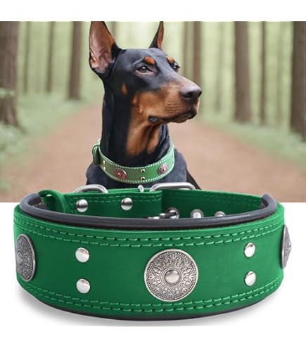 Produktbild von Serijoars Hundehalsband Leder Mit Nieten – Für Mittelgroße & Große Hunde (S: 44–52 Cm) – Stilvoll & Robust