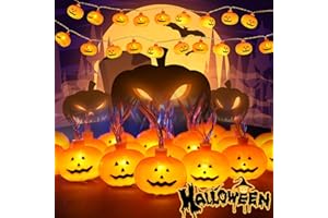 TTCOTOKE Halloween Lichterkette Kürbis, 20 LEDs Warmweiß Kürbis Lichter Schnur 3m Kürbis Deko Licht, 3D Kürbisse Deko Licht mit 2 Modi Halloween LED Lichter Deko für Halloween Party Häuseral Gärten Hof
