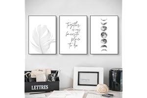 EXQULEG Zestaw 3 plakatów klasy premium, czarne i białe pióra, obrazy na płótnie, plakat artystyczny, dekoracja ścienna do salonu, sypialni, bez ramy (30 x 40 cm)