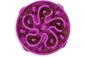 Kyjen Outward Hound Fun Feeder Slo Bowl - Anti-Schling-Napf - groß/normal - violett, L, 51003