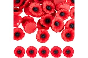 GEOSAR 24 Set Resin Artificial Red Poppy Flower Heads Fake Poppies Head Remembrance Red Artificial Flowers Poppy Artificial Stemless Faux Flowers Fake Wildflowers Head for Veterans Day Decoration 0.91 inch