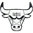 FANMATS 14848 NBA Chicago Bulls Chrome Team Emblem