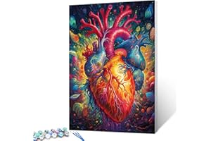 Walarky Herz-Anatomie Malen nach Zahlen Erwachsene Anfänger Blutfluss Kunstbild Geschenk Ölgemälde-Sets auf Leinwand mit Pinseln Acrylpigment Digitale Malerei Heimwanddekor 16x20 Zoll (Ohne Rahmen)