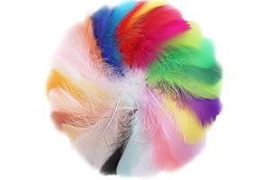 FLOTRUTE 300Pcs Plumes Colorées Plume Decoration Plumes d'Oie Naturelles Plume pour Loisirs Créatifs d'Indien pour Attrape-Rêves Boucles d'Oreilles Fête Mariage Festival Décoration de Fête Prénatale,7-12cm