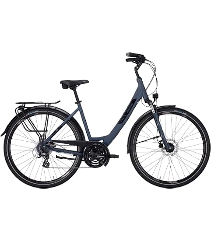 Pegasus Solero SL 24 28 Zoll Damenrad 24-Gang Kettenschaltung rot :  Amazon.de: Sport & Freizeit