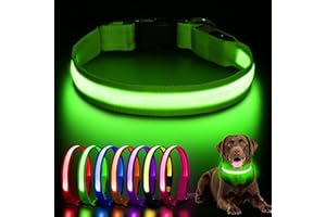 AOZOOM Light up Dog Collar, Rechargeable LED Dog Collar with 3 Glowing Modes, Adjustable Reflective Dog Collar for Small Medium Large Dogs(Green, Large)