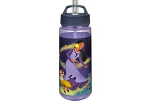 Scooli Borraccia Disney Wish – Borraccia per bambini con motivo – Borraccia in plastica senza BPA – capacità circa 500 ml – cannuccia integrata – ideale per la scuola