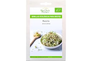 Semillas Bio para germinar brotes y micro green Bueno Bonito Biológico - 80G RÚCULA - Semillas para brotes y germinados BIO - Cultiva germinados frescos para comer