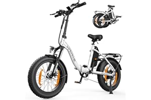 Vipdrive E Bike Herren Elektrofahrräder Ebike 48V 13Ah Abnehmbarer Akku, 20-26 Zoll Fat Tire 250W Motor 5 PAS-Modus Damen E-Bike 7 Gang mit LCD Display, 25km/h, 100km