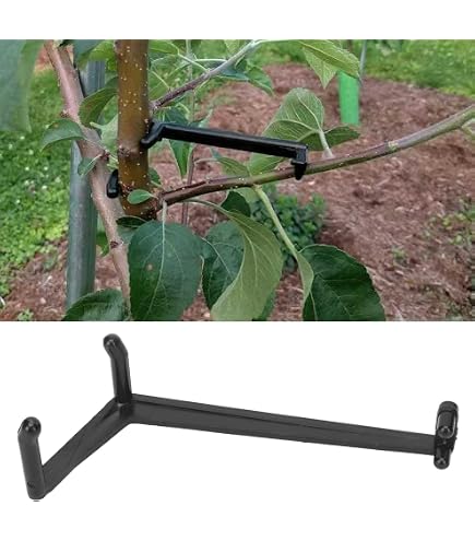 Kit De 20 Pinces Pour Branches De Fruits - Écarteur De Branches Et Tronc Pour Arbres Fruitiers