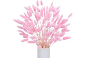 LXYANW 120 Pcs Pampa Séchées Naturelle Décoration, Herbe de la Pampa Fleurs Séchées Décoration Bouquet de Fleurs Séchées pour Les Fleurs Boho de Mariage et la Décoration de Table à la Maison(Rose)