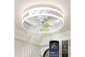 EKDADL Reversibile Ventilatore da Soffitto LED 47CM Dimmerabile Ventilatore a Soffitto con Luce 3 Colori 6 Velocità Silenzioso Lampadario con Ventilatore da Soffitto con Luc (Bianco47cm)