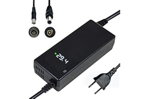 YANGZIDIANYUAN Chargeur Batterie 29.4V 4A, pour Batterie Lithium 24V, avec Affichage LED et Multiples Fonctions de Protection et de réparation, équipé de connecteurs RCA 8mm, DC 5.5 * 2.1mm