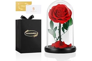 Ewige Rose im Glas, Rote, Konservierte Echt Blume für 5 Jahre, Infinity Rose, Besondere Geschenk für Frauen, Mama, Freundin, für Sie, zum Valentinstag, Jahrestag, Geburtstag, Muttertag