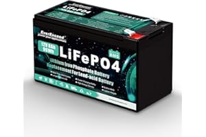 EVEREXCEED 12V 8Ah Rechargeable Lifepo4 Battery, 12V Battery Built-in BMS, 3000+ Deep Cycles Lithium Battery for UPS, Fish Finder, Lawn Mower, Burglar Alarm System, Solar Panel