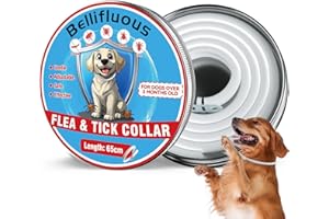 Bellifluous Collare Antiparassitario per Cani, Collare Cane, 65cm Regolabile Impermeabile Collares per Cani, 8 Mesi di Protezione Delicato Collari Antiparassitari per Cane per Tutti i Canes (1 Pacco)