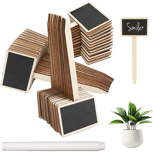 Etichette Per Piante In PVC - 250 Cartellini Impermeabili Per Orto E Giardino | Colorati Con Penna Inclusa | Ideali Per Organizzare