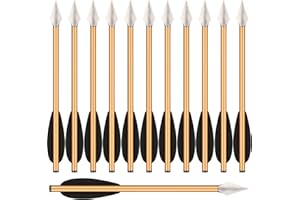 WANVZMR Aluminium Crossbow Bolts Arrows 6.3" Steel Broadhead Tips Hunting Arrows for 50-80lbs Pistol Crossbow Precision Target,Great for Practicing Shooting Target Small Hunting Archery