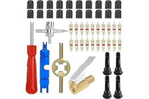 HIYITKS 49 Stück Reifenventilentferner Reifen Ventileinsatz Autoventil 8 in 1 Ventilkern Reparatur Werkzeug Ventilkernwerkzeug einschließlich 20pcs Ventileinsätze für Auto Motorrad Fahrrad