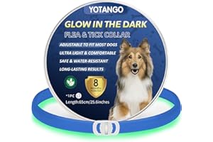 YOTANGO Colliers Anti-Puces pour Chiens, Collier Anti Puces Chien Imperméable, Réglable Lumineux Collier Anti Puces pour Chien 8 Mois de Protection Naturelle Anti Tique pour Chiots et Grands Chiens-Bleu Foncé