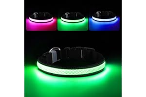 RUXAN Collare Luminoso per Cani, Collare LED Ricaricabile per Cani, 3 Modalità Luminose e Dimensioni Regolabili, Adatto per Passeggiate Notturne Sicure di Cani Piccola e Media Grandi