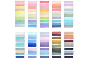 SHEPIN 2000 Pezzi Segnapagina Adesivi Scrivibili Pastello 100 Colori Morandi Sticky Notes,10 Set Segna Pagine Adesivi Trasparenti per Libri, Schede Segnalibri Adesivi Segnapagine
