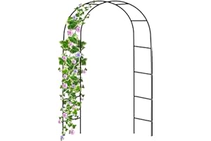 CRYSTALS Garden Arch Green Metal - Heavy Duty Steel Frame Support Arches for Climbing Plants, Roses, Vegetables, Outdoor Decoration and Archway Decor - Large Size (2M) (1 x Garden Arch)