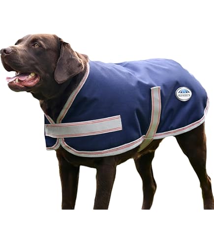 WEATHERBEETA ComFiTec Ultra Comfi Detach-A-Neck Heavy Horse Turnout