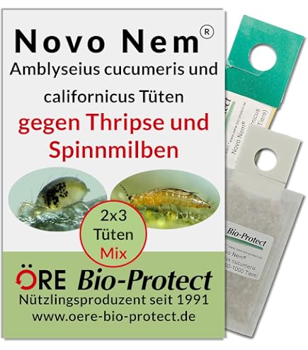 Fairyfly Raubmilben gegen Thripse  3 Tten Ntzlinge fr Zimmerpflanzen &  Gewchshaus  biologische Schdlingsbekmpfung (Cucumeris) : Amazon.de:  Garten