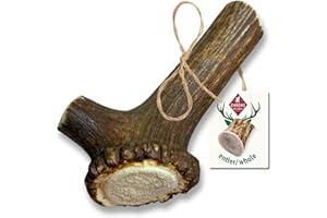ChronoBalance-L Bois de Cerf pour Chiens, 100% Naturel, Pièces Entières, Os à Mâcher, Jouet pour Chiens, Soin Dentaire, Riche en Minéraux et Nutriments, Longue Durée, Lot de 1