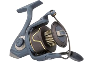 Pflueger President Spinning Fishing Reel