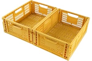 Spesh 2 Pezzi Contenitori Pieghevoli Cesto Portaoggetti in Plastica Scatole Pieghevoli in Plastica Stabili per Camera dei Bambini, Cucina, Studio (Giallo, 40*30*15cm)
