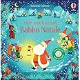 Babbo Natale. Ediz. a colori
