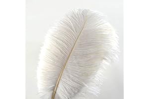 Crenze 10pcs ostrich feathers 12-14inch(30-35cm) for Home Wedding Decoration Offers 10 colors (White)